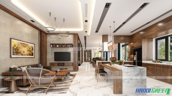 Thiết kế và thi công Biệt thự Đảo 3 Ecopark